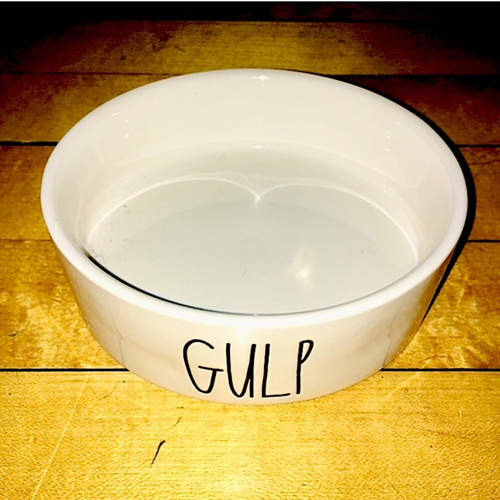 Rae Dunn Ceramic Gulp Dog or Cat Bowl